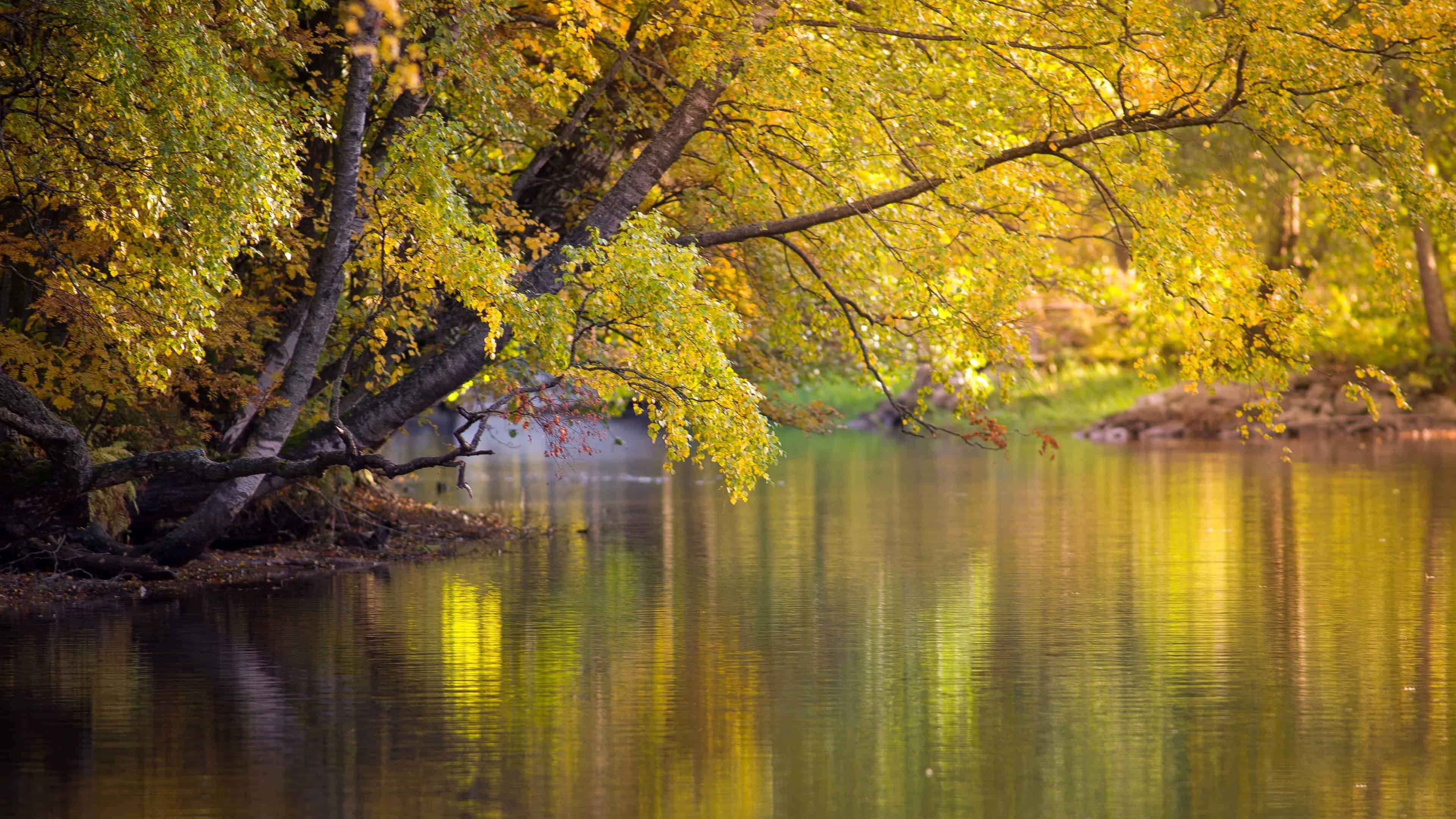 1777968031-69f9a39f563a5-Download-Free-Pictures-3840x2160.webp